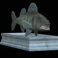 zander-statue-4-open-mouth-1-5.png fish zander / pikeperch / Sander lucioperca  open mouth statue detailed texture for 3d printing