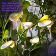 @LILY-fotos-4.jpg Lily Light - A Blossom of Elegance and Illumination
