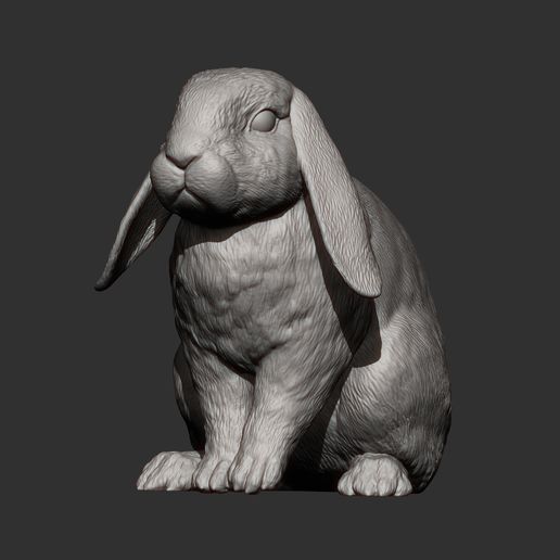 🐇 Rabbit ram 3D print model・ 3D File for ・Cults