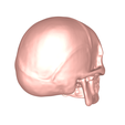 model-4.png Skull no.1