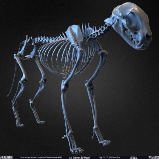 Vinny Cat on skull/立体アート Vinny Cat on skull/立体アート