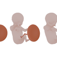 Ninth_Month_Diffuse_Color.png 3D file Month 9 Human embryonic (baby stages)・3D printable model to download