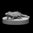 Lizard.JPG Misc. Creatures for Tabletop Gaming Collection