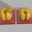 4.jpg PEACH - NECTARINE FRUİT 3D PRINT READY