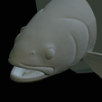 Rainbow-trout-solo-model-open-mouth-1-39.png fish head trophy rainbow trout / Oncorhynchus mykiss open mouth statue detailed texture for 3d printing