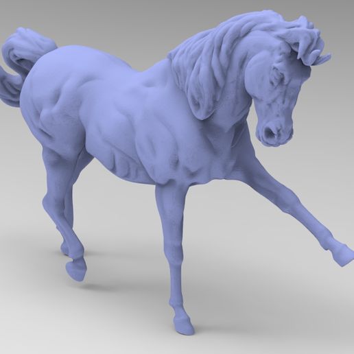 Horse Model Leg Up