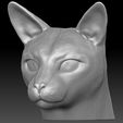 13.jpg Siamese Cat head for 3D printing