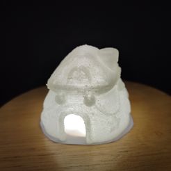IMG_20231128_231153.jpg Snow House lamp holder