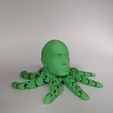 258872609_592581878722876_7536812881484636207_n.jpg The Rocktopus