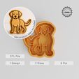 product_282-01_main.jpg Labrador Retriever Cookie Cutter & Stamp Set, 6 Pieces, Dog Breed Design, Perfect for Cookies, Fondant, in S/M/L