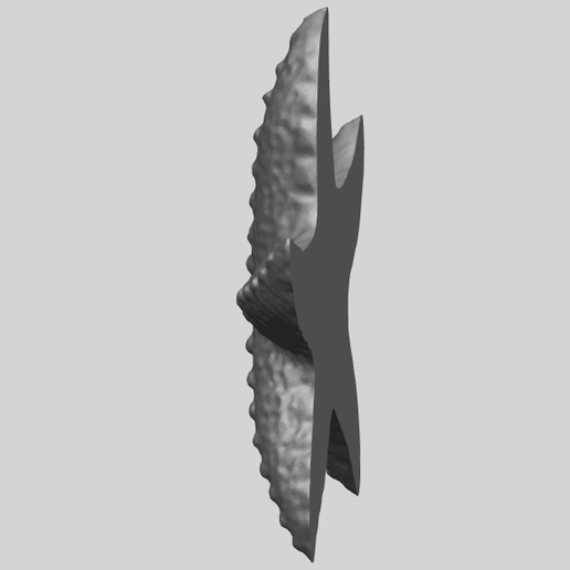 10_TDA0609_Starfish_03A04.png -Datei Starfish 03 kostenlos herunterladen • Objekt zum 3D-Drucken, GeorgesNikkei