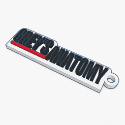 2021-10-10-1.png STL file GREY'S ANATOMY 2 KEY CHAIN・3D print design to download, Ezedg2021