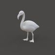 Flamingo_1.1.jpg Flamingo em pé