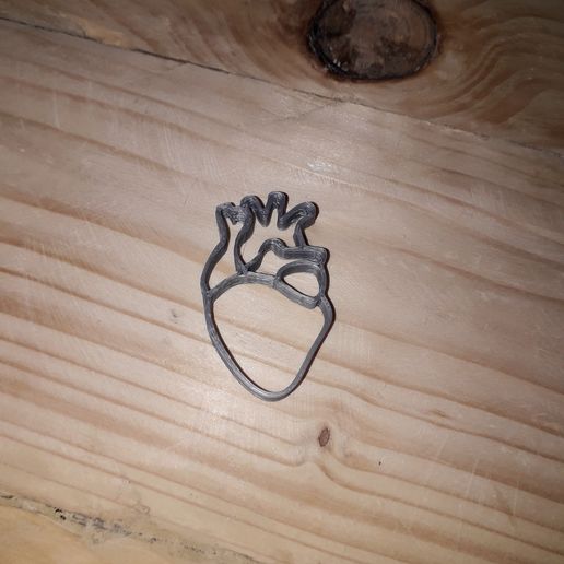 QLF Heart of NLP - 3D model önizlemesi