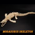 mosasaurus-skeleton2.jpg mosasaurus flexi skeleton