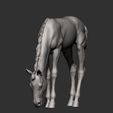 foal-eats9.jpg Escultura Potro come
