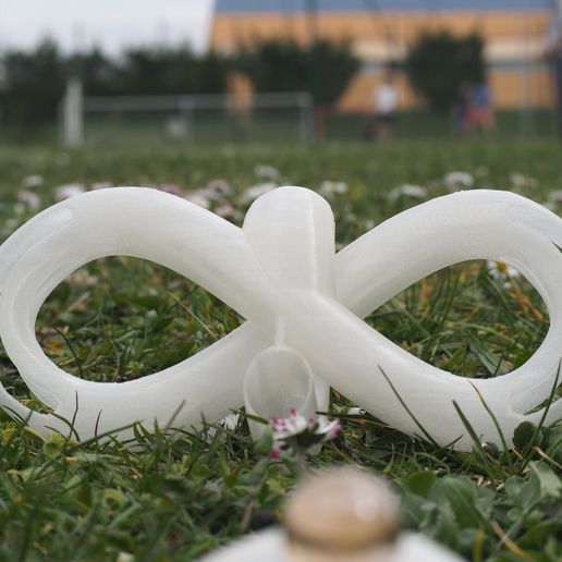 Free STL file Infinite Loopy Looper ♾️ ・3D print design to download・Cults
