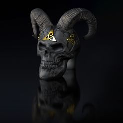 ShopA.jpg Skull Skull celtic ram