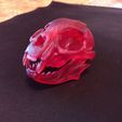 1614110082839.jpg "Cat Skull" : 3D file for sale