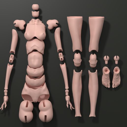 ♀️ Model GM - Stylized Female BJD Doll STL OBJ 3D Print Model ...