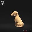 Dachshund-Miniature-Wire-Haired-Pose-06-Dog-3D-Print-7s.jpeg Dachshund Miniature Wire Haired Pose 06