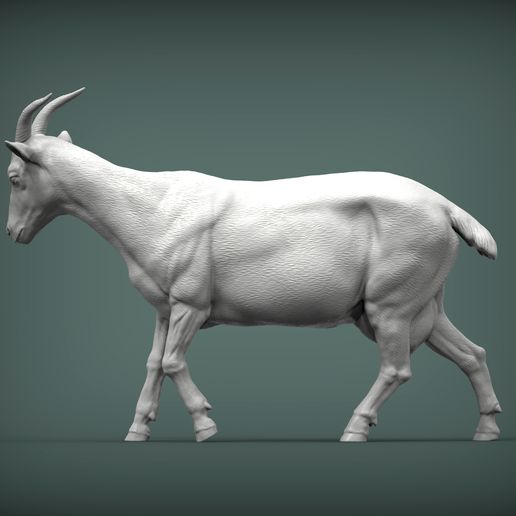 🐐 Goat 3D print model・ STL File for ・Cults