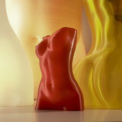 Torso 02.jpg Free STL file Woman Torso / VaseMode・3D print model to download