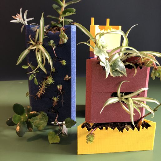 IMG_1118.jpg Угловая стена для растений