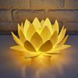 3.jpg Nymphaea Siam Blanco - Luz de noche LED Modelo de impresión 3D 🌸