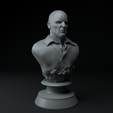 8.png Breaking Bad Complete Premium 3D Bust Pack STL