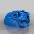 wfu_cbi_skull-hollow_bot.jpg Cleaned Hollow Skull