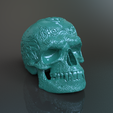 Scull-4c.png Orcish Rune Scull