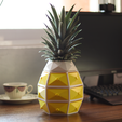 LaPiñaMagica.png The Magic Pineapple - Organizer/Flowerpot