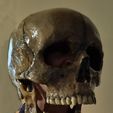 E-Painted-Skull-03.jpg Totenkopf Maske