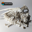 Still2.png Fichier 3D Dragon creux, Dragon osseux articulé, Halloween, Cinderwing3D, Impression sur place・Design pour imprimante 3D à télécharger