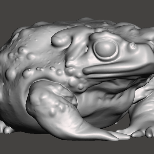 STL file fat toad 👾 ・3D printer model to download・Cults