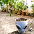 IMG20230825150746.jpg Alien Halloween Decoration, Plant Pot, Flowerpot, Bowl, Vase