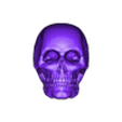 Skull.obj Human Skull 3D Model