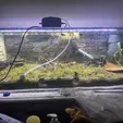 image.webp Aquarium Tunnel