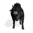 09.jpg DOWNLOAD Buffalo 3D MODEL - 3D MODEL ANIMATED - FOR 3DS MAX - BLENDER 3 FILE - UNITY - UNREAL - CINEMA 4D - FBX - OBJ - MAYA