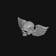 0099_GoldWingedSkull_0008.jpg Gold Winged Skull