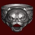 7.jpg 3D Exotic Bully Ring