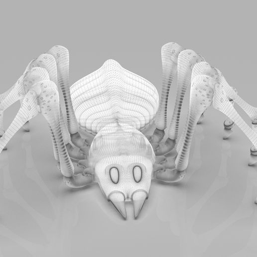 1.8.jpg spider