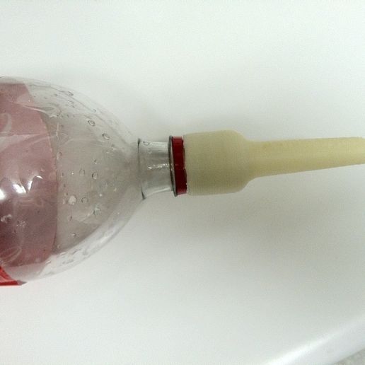 IMG_0078_display_large_display_large.jpg Watering spike for 2L bottle