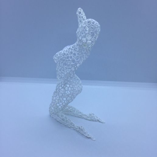 IMG_2104.JPG STL-Datei Voronoi woman poses herunterladen • Objekt zum 3D-Drucken, juanpix