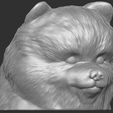 5.jpg Puppy of Pomeranian dog head for 3D printing