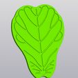 1.jpg Ficus Lyrata leaf Cup coaster