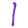 Radius_Left.OBJ OBJ file Life size baby T-rex skeleton - Part 07/10・3D printer design to download