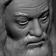 18.jpg Fichier 3D Dumbledore de Harry Potter buste impression 3D prêt stl obj・Design pour imprimante 3D à télécharger