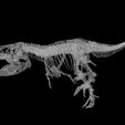 Без-имени-4.jpg Tyrannosaurus T-rex skeleton